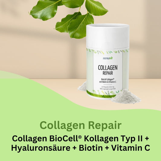 Collagen-Repair Kapseln enthalten neben Biotin und Vitamin C einen mehrfach patentierten natürlichen Vitalstoff aus den USA namens BioCell Collagen®.
Dabei handelt es sich um einen klinisch geprüften, sehr gut bioverfügbaren Komplex aus hydrolysiertem Kollagen Typ II, Hyaluronsäure und Chondroitinsulfat. Kollagen ist ein strukturgebendes Protein des Bindegewebes, das maßgeblich an der Flexibilität und der Elastizität von Haut, Knochen und Knorpeln beteiligt ist. Vitamin C trägt zur Kollagenbildung sowie zu