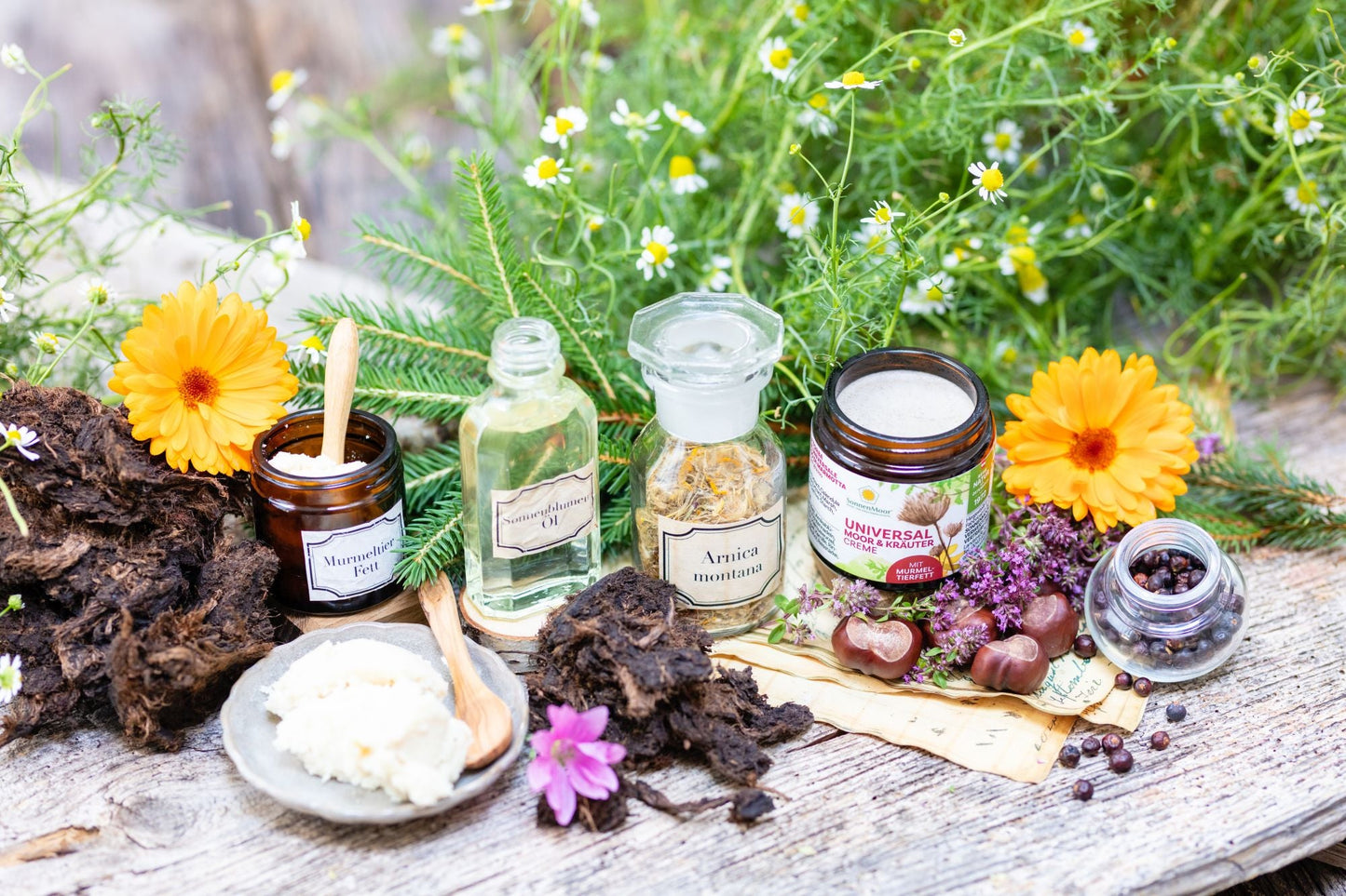 Tube SonnenMoor Naturprodukt Universal Moorcreme auf einem rustikalen Holzuntergrund, umgeben von Kräutern – die Creme wird zur intensiven Pflege und Beruhigung von Haut und Muskeln verwendet.