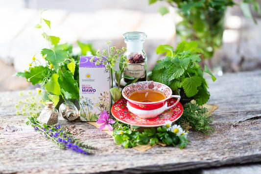 SonnenMoor Mawo-Tee® im Filterbeutel 36 gSie mögen’s gerne praktisch? Dann ist unser Mawo-Tee im Teebeutel genau das Richtige für Sie. Im handlichen Filterbeutel haben Sie immer genau die passende Menge für