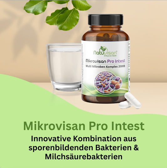 Mikrovisan Pro Intest – Darmflora gezielt ergänzen mit Bacillus-Stämmen, Bifidobakterien, Laktobazillen und Bio-Akazienfaser für mikrobielles Gleichgewicht und Verdauungskomfort.
