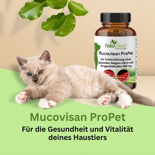 Natuvisan Mucovisan ProPet – Probiotische Unterstützung für Hunde und Katzen mit Bacillus subtilis, Enterococcus faecium, Colostrum und Bio-Akazienfaser zur Förderung der Verdauung und Darmflora.
