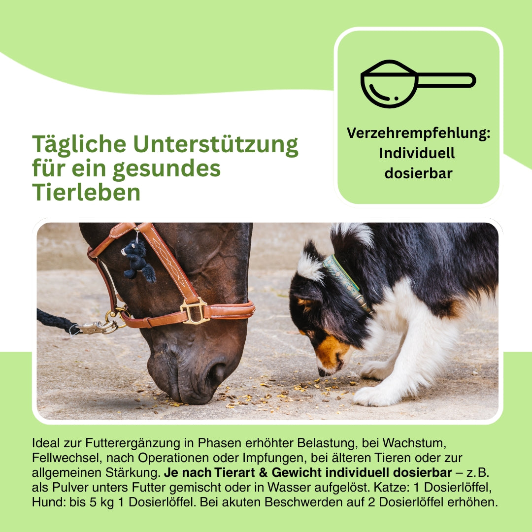 Colostrum Pulver als Nahrungsergänzung für Hunde und Katzen – unterstützt den Organismus bei Infektanfälligkeit, fördert die Zellregeneration und stärkt das Wohlbefinden.
