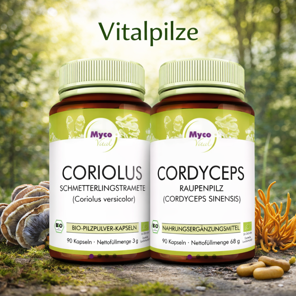 BIO Vitalpilze von Mycovital als Symbol für natürliche Kraft und geprüfte Qualität