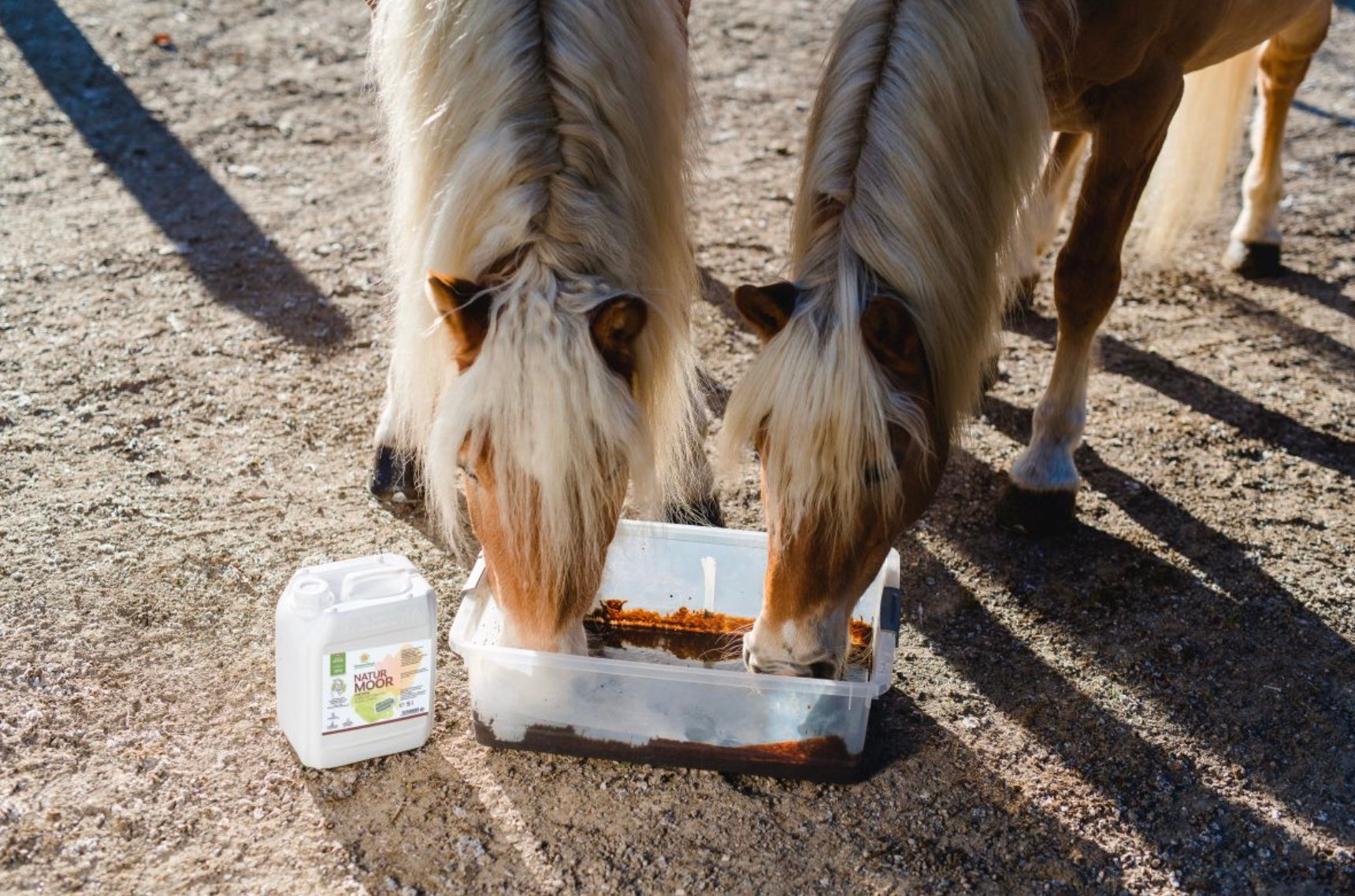 SonnenMoor Naturmoor mit Huminsäuren für Pferde - 5000 mlDas Moor für Pferde (auch für andere Tiere) von SonnenMoor ist ein reines Naturprodukt, frei von chemischen Zusätzen. Das Naturmoor für Pferde besteht aus wertvollem