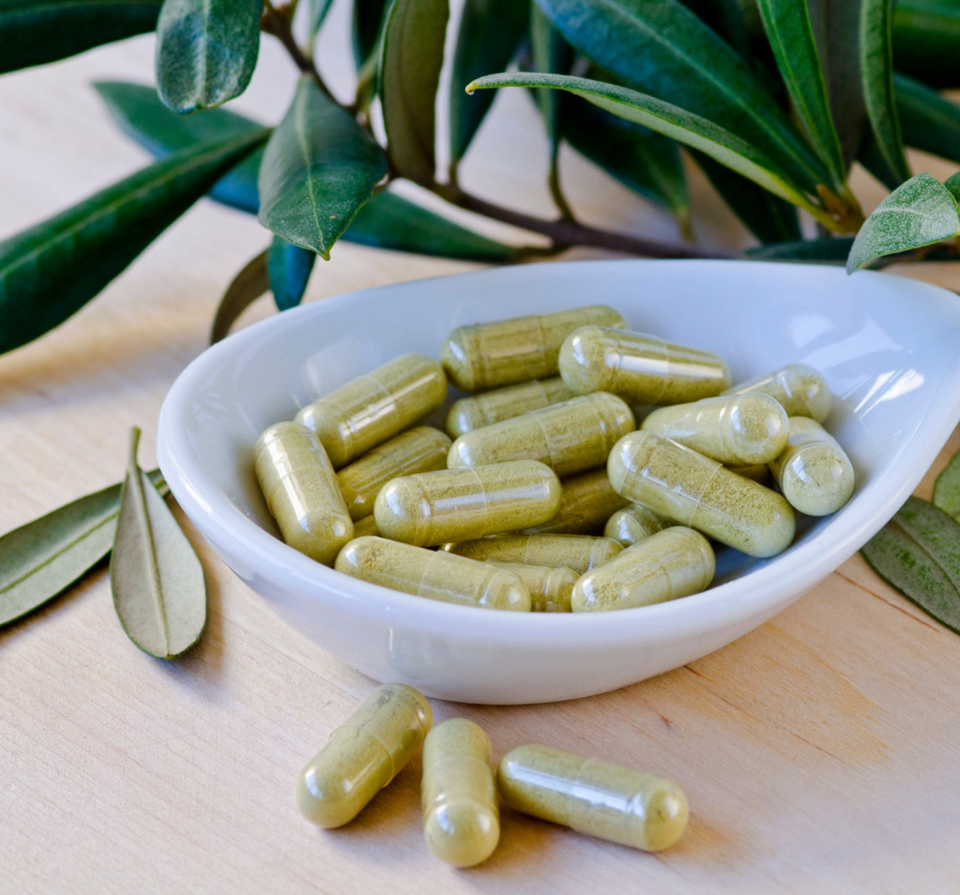 OLIVENBLATT EXTRAKT Premium 500 mg - 60 Kapseln