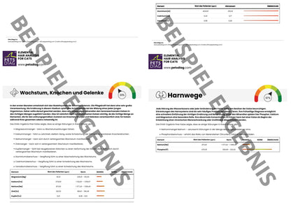 EHAA Premium Gesundheits-Check - Fellmineralanalyse für Deine KatzeDie EHAA informiert über den Zustand, die Krankheiten und die individuellen Ernährungsbedürfnisse der getesteten Katze. Wie ist es möglich?
Basierend auf den nachgew