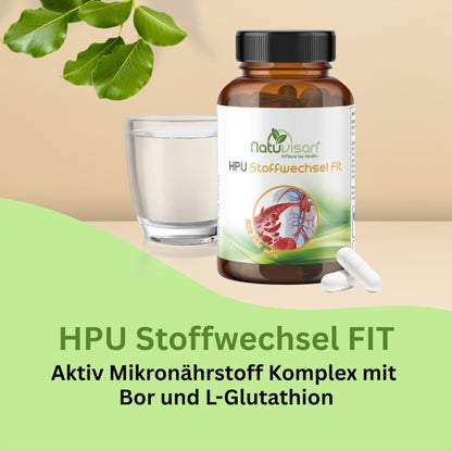 HPU Stoffwechsel Fit Aktiv – gezielte Unterstützung des Pyrrolestoffwechsels und Energieproduktion mit bioaktiven B-Vitaminen, Magnesium und Zink.