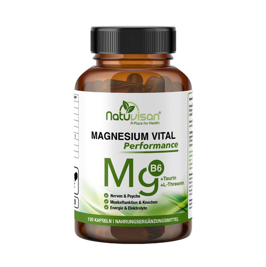 Infografik zur Wirkung von Magnesium-L-Threonat auf die kognitive Gesundheit – verbessert die Magnesiumaufnahme im Gehirn, unterstützt Konzentration, Gedächtnis und neuronale Flexibilität, besonders in stressreichen Zeiten.