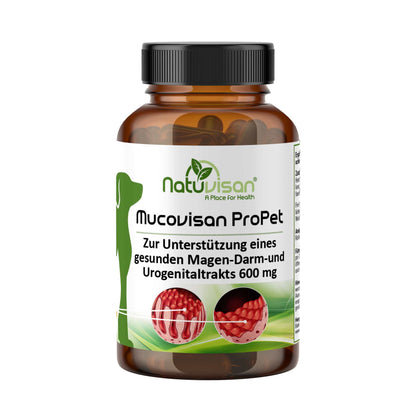MUCOVISAN ProPet vereint Probiotika und Präbiotika, unterstützt Verdauung, Nieren und Harnblase von Haustieren. Ideal für eine gesunde Darmflora und Vitalität.