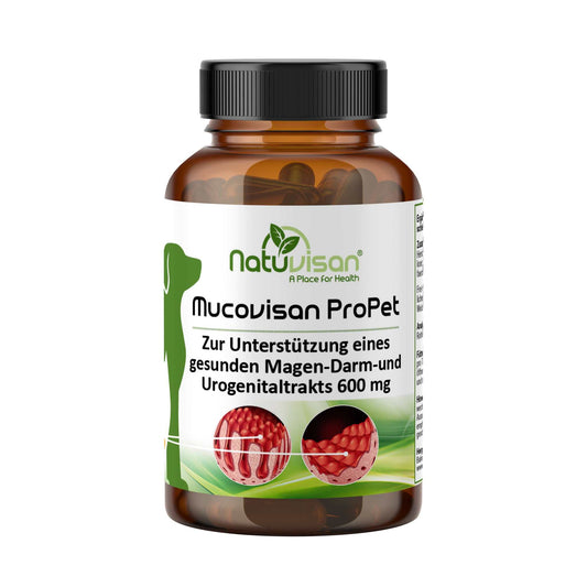 MUCOVISAN ProPet vereint Probiotika und Präbiotika, unterstützt Verdauung, Nieren und Harnblase von Haustieren. Ideal für eine gesunde Darmflora und Vitalität.