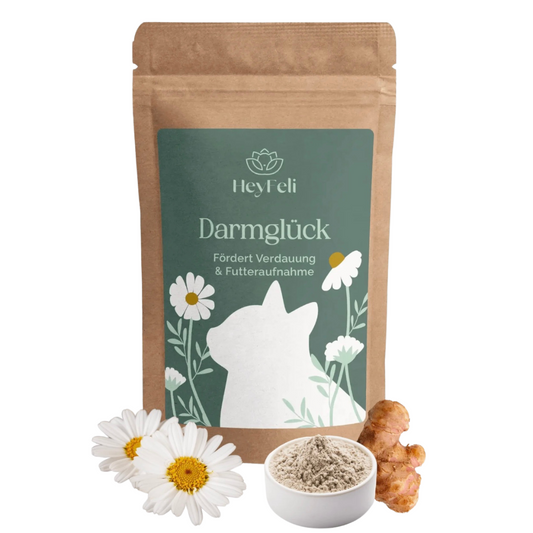 Darmglück - Fördert die Verdauung & Futteraufnahme bei Katzen - 1 Monat