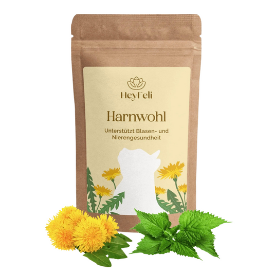 Harnwohl Katzenergänzungsfuttermittel für Blasen- und Nierengesundheit mit Löwenzahn und Brennnessel, 30g-Packung
