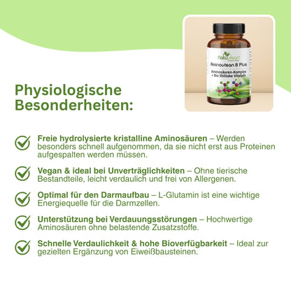 Illustration zur Wirkung von L-Glutamin im Darm – unterstützt die Regeneration der Darmschleimhaut, stärkt die Verdauungsfunktion und trägt zum Erhalt der Darmbarriere bei.