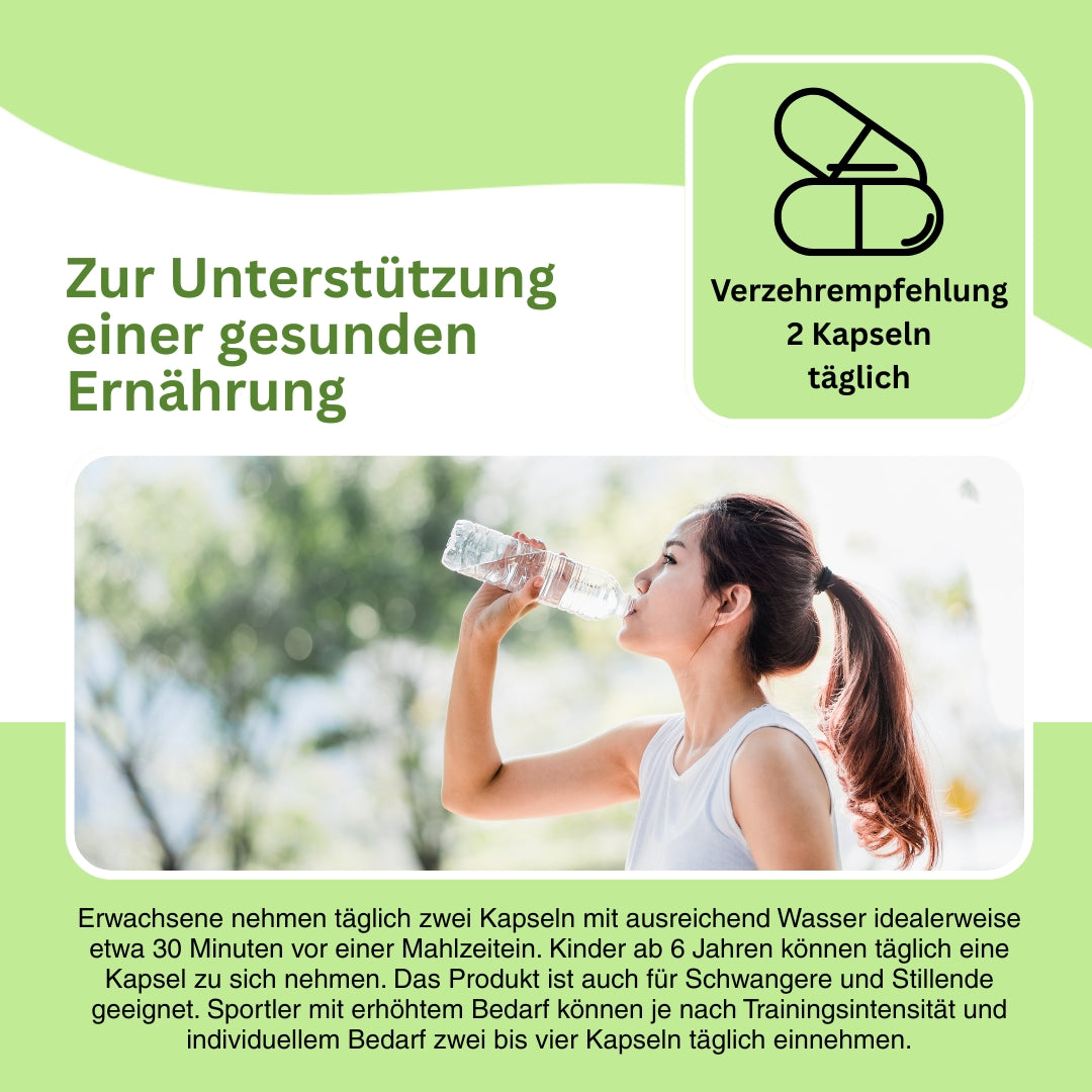 Shiitake-Pilz als natürlicher Bestandteil von Aminovisan 8 Plus – liefert pflanzliches Eiweiß, Polysaccharide und bioaktive Mikronährstoffe zur Unterstützung des Immunsystems und Stoffwechsels.