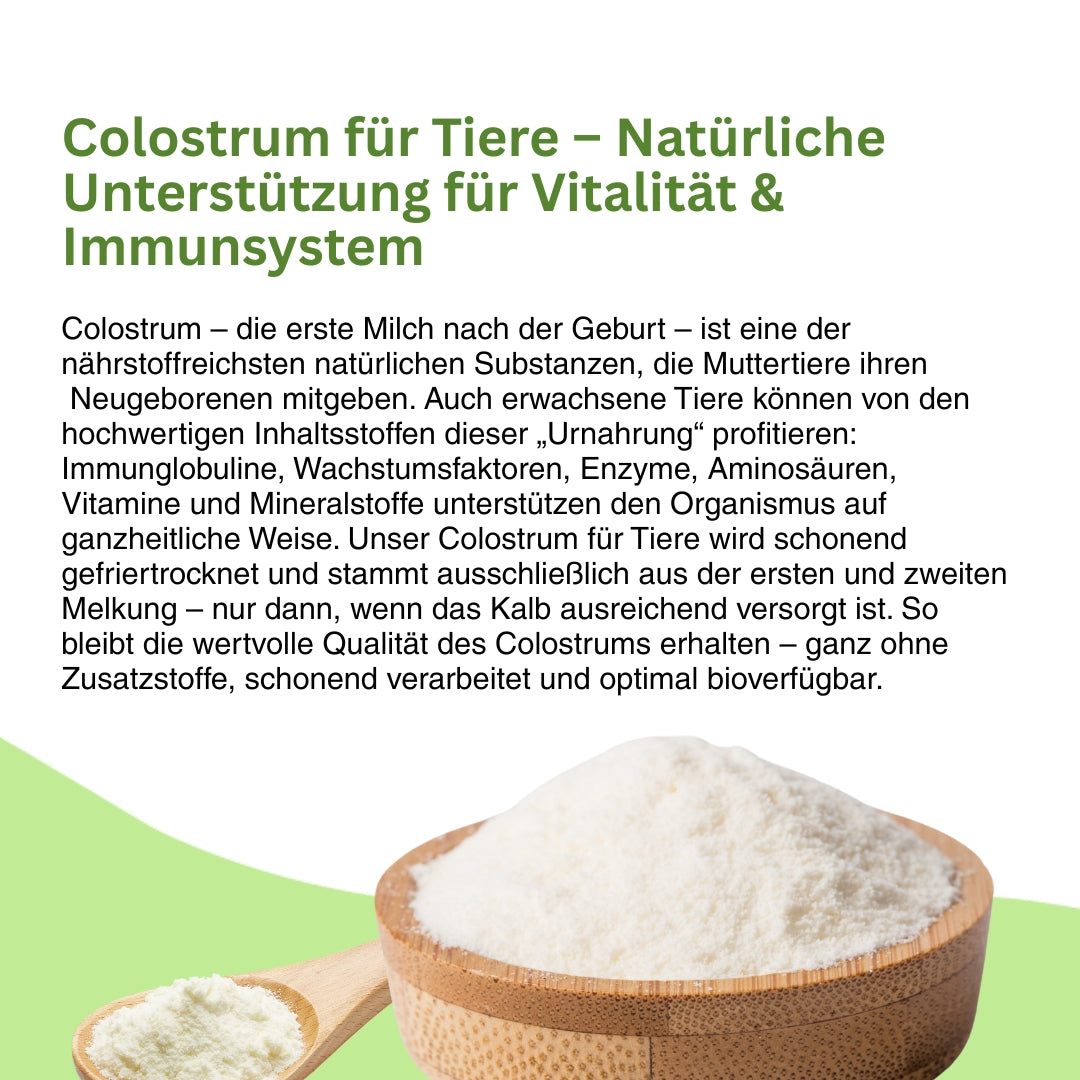 Colostrum für Hunde und Katzen – wertvolles Erstmilchpulver mit Immunfaktoren, das die Abwehrkräfte stärkt, Allergien vorbeugt und die Darmbarriere schützt.