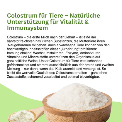 Colostrum für Hunde und Katzen – wertvolles Erstmilchpulver mit Immunfaktoren, das die Abwehrkräfte stärkt, Allergien vorbeugt und die Darmbarriere schützt.