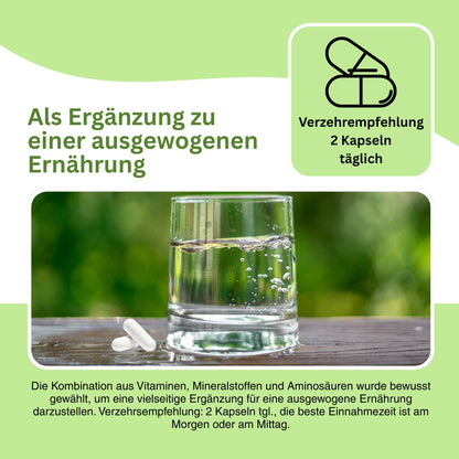 Visualisierung der synergistischen Wirkung von Vitaminen, Mineralstoffen und Aminosäuren auf Wohlbefinden, Konzentration und Entspannung – entwickelt für eine ausgewogene Ernährung im Alltag.