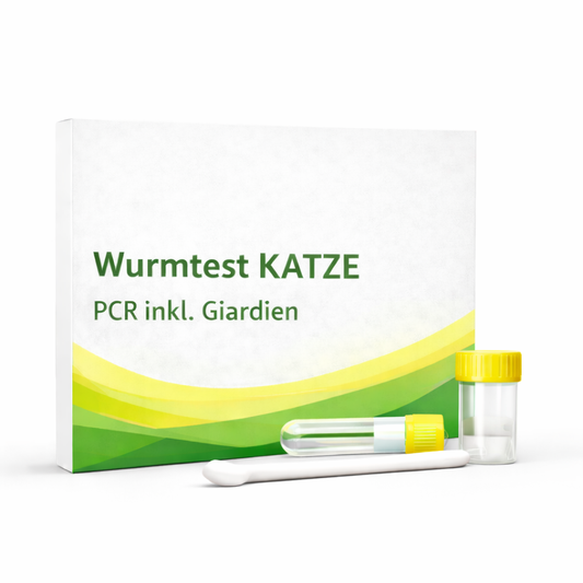 Wurmtest Testkit für Katzen inkl. Giardien Kotanalyse
