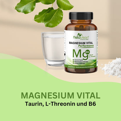 Natuvisan Magnesium Vital Performance unterstützt mit fünf bioverfügbaren Magnesiumformen wie Bisglycinat, Citrat und Malat die normale Muskelfunktion, hilft Krämpfen vorzubeugen und fördert die Zellenergie durch die Bildung von ATP.