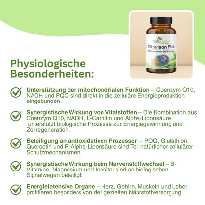 Infografik zur Rolle von Coenzym Q10, NADH und PQQ in den Mitochondrien – zeigt den Ablauf der zellulären Energieproduktion und die antioxidative Wirkung von bioaktiven Mikronährstoffen.