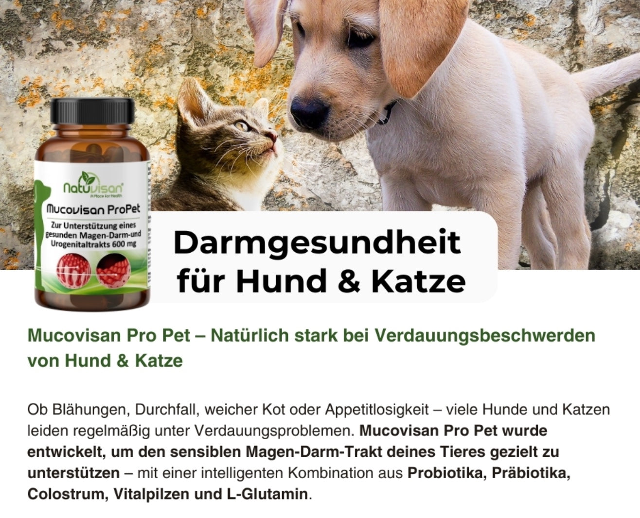 Dose Natuvisan Mucovisan Pro Pet Kapseln – natürliche Unterstützung für die Darmschleimhaut und Darmflora deines Haustiers.