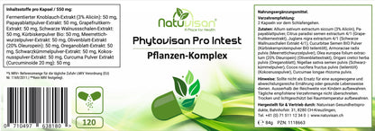 Visualisierung der synergistischen Wirkung sekundärer Pflanzenstoffe – zeigt bioaktive Verbindungen wie Allicin, Papain, Oleuropein und Curcuminoide aus Kräutern, die gemeinsam antioxidative und verdauungsunterstützende Prozesse fördern.