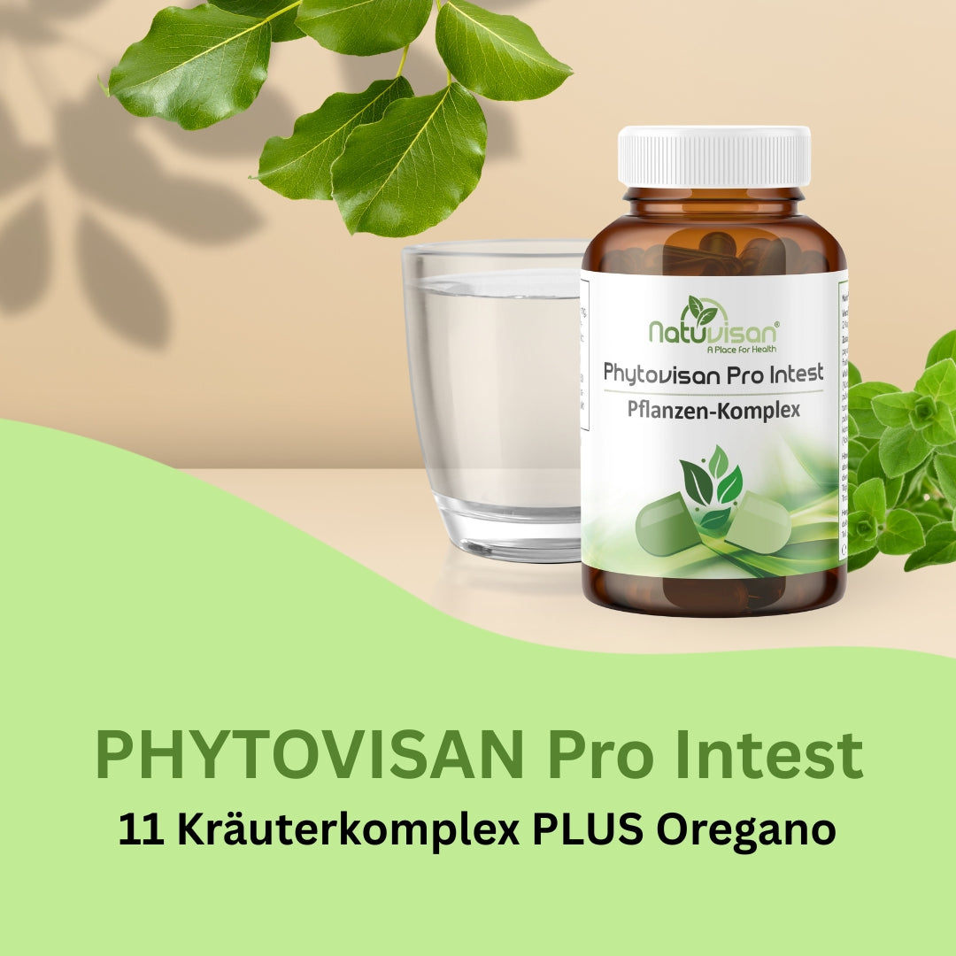 Darstellung pflanzlicher Enzyme und Bitterstoffe wie Papain aus Papaya und Senfglykoside aus Meerrettich – veranschaulicht die Unterstützung der Eiweißverdauung und die Anregung der Magensaftproduktion durch natürliche Pflanzenextrakte.