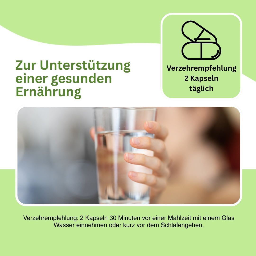 Bild verschiedener fermentierter Rohstoffe wie Knoblauch, Kokosnuss und Walnuss – betont die hohe Bioverfügbarkeit und die Vielfalt sekundärer Pflanzenstoffe zur Förderung der Darmgesundheit.