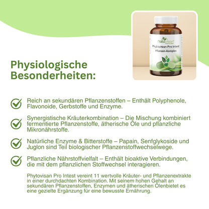 Infografik zur Wirkung fermentierter Pflanzenstoffe wie Knoblauch und Olivenblatt – zeigt die Rolle von Allicin und Oleuropein bei der mikrobiellen Balance im Darm und antioxidativen Schutzmechanismen.