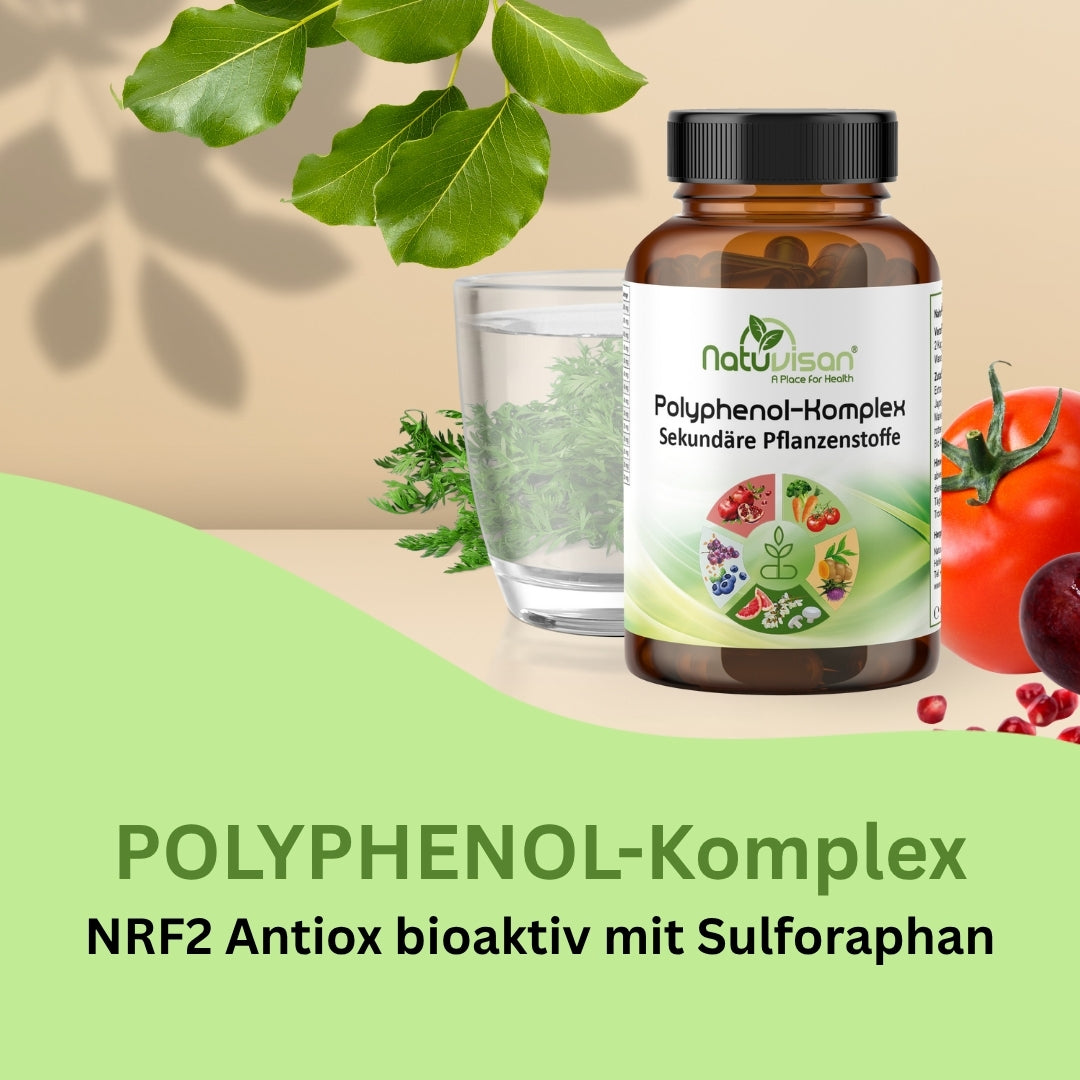 Infografik zu den 14 enthaltenen Polyphenolquellen – inklusive Brokkolisprossen (Sulforaphan), Blaubeeren (Anthocyanidine), Grüntee (EGCG), Kurkuma (Curcuminoide), Traubenkernen (OPC), Mariendistel (Silymarin), Tomaten (Lycopin) und Karotten (Carotinoide).