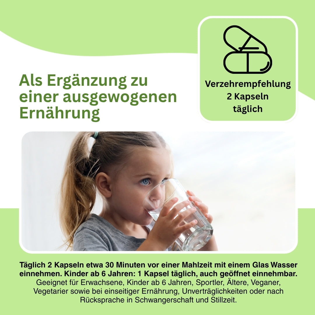 Visualisierung von Polyphenolen als Regulatoren biologischer Prozesse – zeigt, wie Flavonoide, Sulforaphan und Resveratrol mit Signalwegen wie NRF2 interagieren, Enzymaktivitäten beeinflussen und zur Regulation von Entgiftungs- und Entzündungsprozessen beitragen.