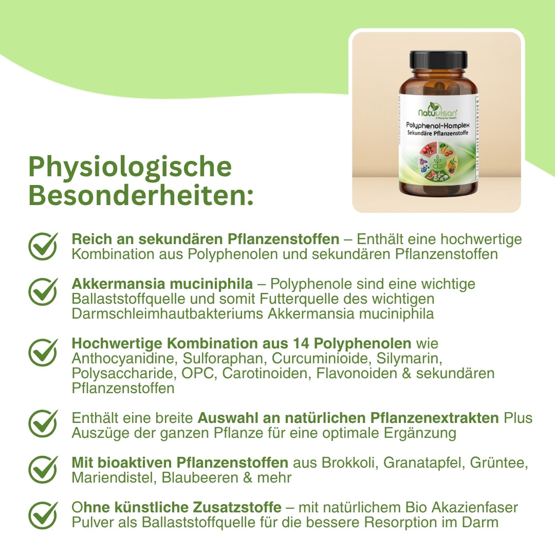 Darstellung der Rolle von Polyphenolen im körpereigenen antioxidativen Schutzsystem – unterstützt die Neutralisierung freier Radikale, reguliert Redoxprozesse und trägt zur Widerstandskraft der Zellen unter Stress, Umweltbelastung oder Entzündung bei.