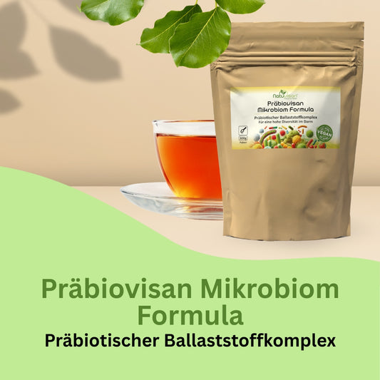 Darstellung der Wirkung löslicher Ballaststoffe wie FOS, GOS, Glucomannan und Reishi-Beta-Glucanen auf die mikrobielle Vielfalt im Darm – fördert die Ansiedlung nützlicher Bakterienstämme wie Akkermansia muciniphila.