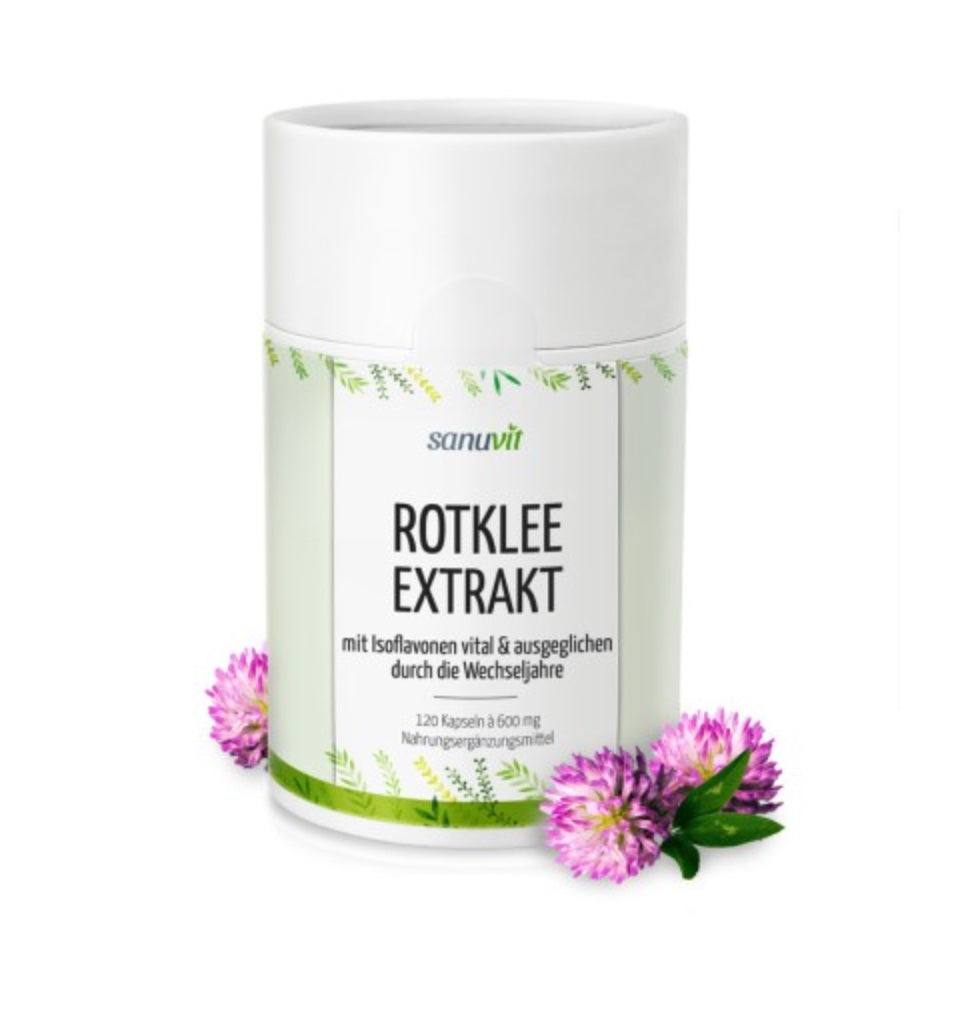 Nahaufnahme von Rotklee-Blüten – Quelle natürlicher Isoflavone in einem pflanzlichen Extrakt