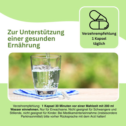 Illustration zur Verbindung zwischen SAMe, Leberfunktion und Glutathion-Produktion – zeigt die antioxidativen Effekte von SAMe auf zellulärer Ebene und seine Bedeutung für Entgiftungsprozesse im Körper.