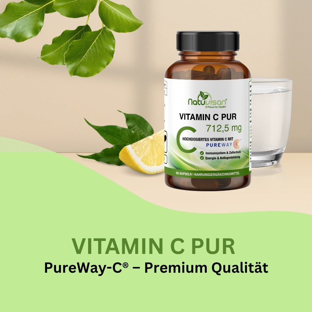 Illustration der antioxidativen Wirkung von PureWay-C – schützt Zellen vor freien Radikalen, neutralisiert oxidativen Stress aus Umweltfaktoren oder intensiver Belastung und trägt zur Regeneration der reduzierten Form von Vitamin E bei.