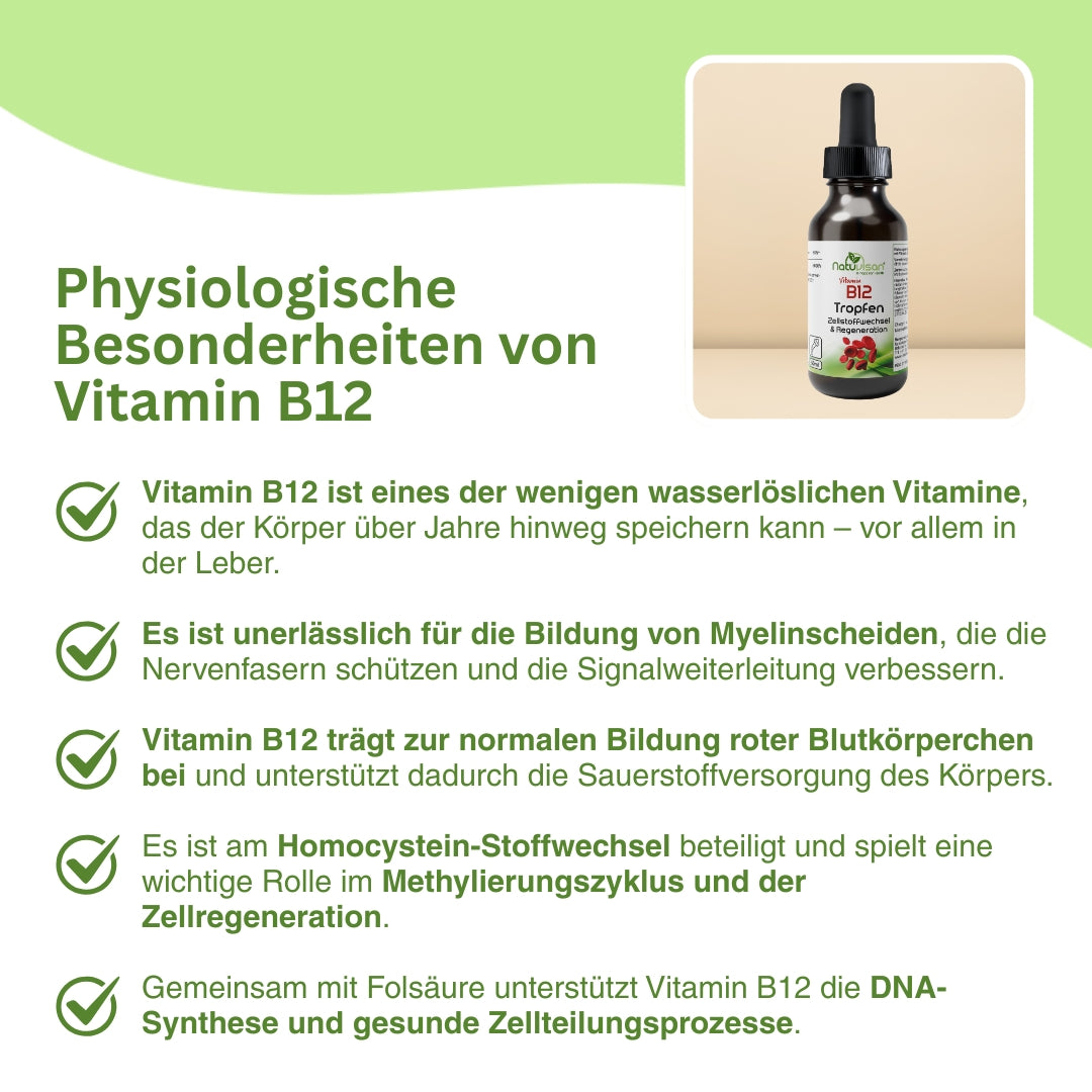 Natuvisan Vitamin B12 Tropfen – hochdosierte, vegane Formel für Energie, Nervensystem und Stoffwechsel, praktische Anwendung ohne Kapseln
