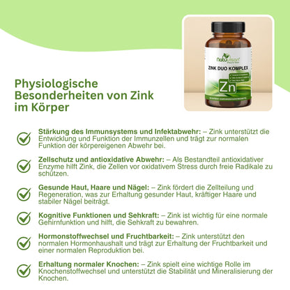 Visualisierung des Einflusses von Zink auf Gehirnfunktion und Sehkraft – trägt zur normalen kognitiven Leistungsfähigkeit bei und unterstützt die Erhaltung der normalen Sehkraft.