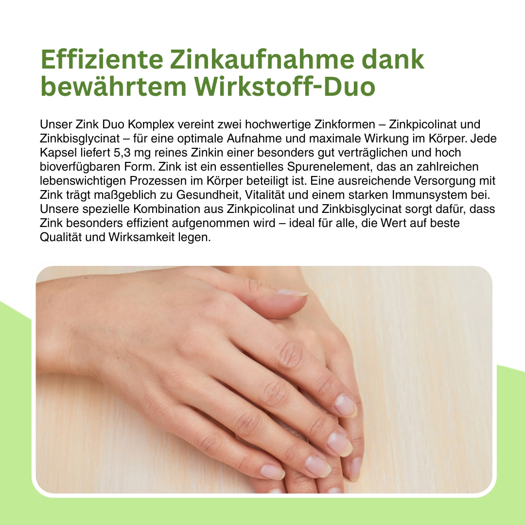 Übersicht über die Zinkformen im Natuvisan Zink Komplex – Kombination aus Zinkpicolinat mit hoher Bioverfügbarkeit und magenfreundlichem Zinkbisglycinat für eine optimale Zinkaufnahme.