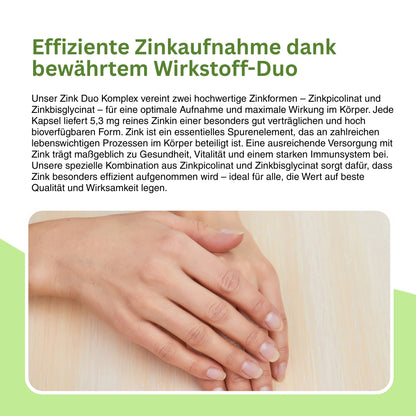 Übersicht über die Zinkformen im Natuvisan Zink Komplex – Kombination aus Zinkpicolinat mit hoher Bioverfügbarkeit und magenfreundlichem Zinkbisglycinat für eine optimale Zinkaufnahme.