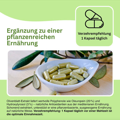 Traditionelles Naturprodukt aus Olivenblättern – reich an Antioxidantien und pflanzlichen Verbindungen wie Hydroxytyrosol.